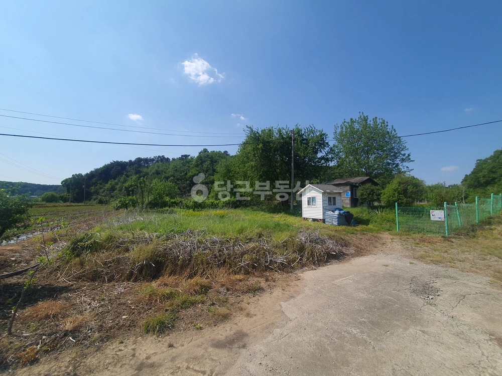 경기도 파주시 파주읍 토지 사진 1