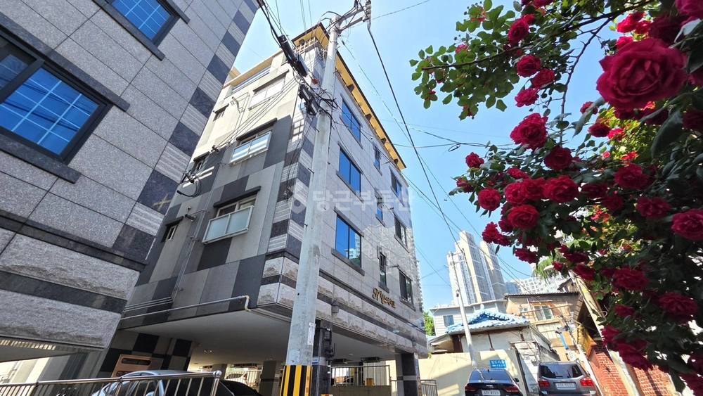 대구광역시 중구 남산동 단독/전원주택 사진 1