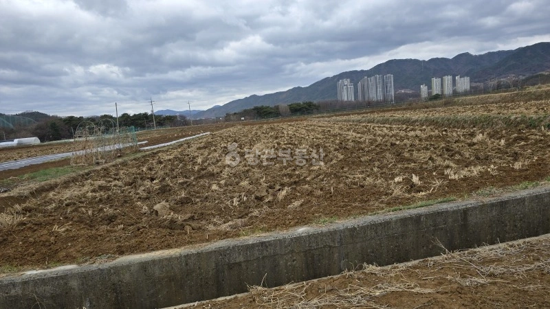 충청북도 제천시 신월동 토지 사진 1