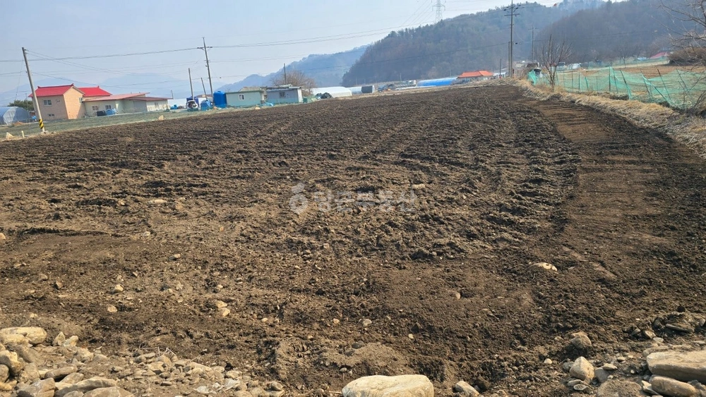 충청북도 제천시 백운면 토지 사진 1