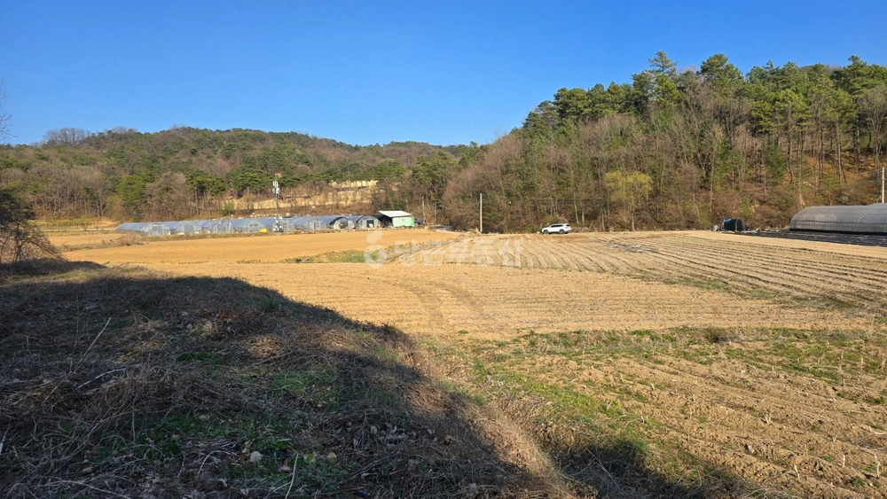 충청북도 제천시 왕암동 토지 사진 1
