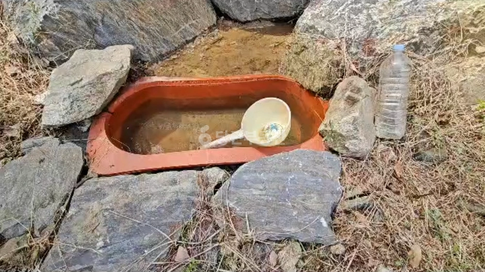충청북도 제천시 신월동 토지 사진 1