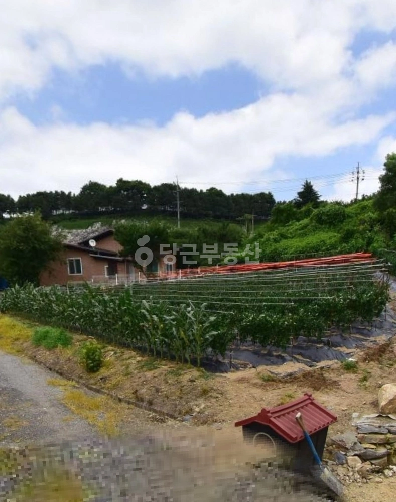 충청남도 아산시 염치읍 토지 사진 1
