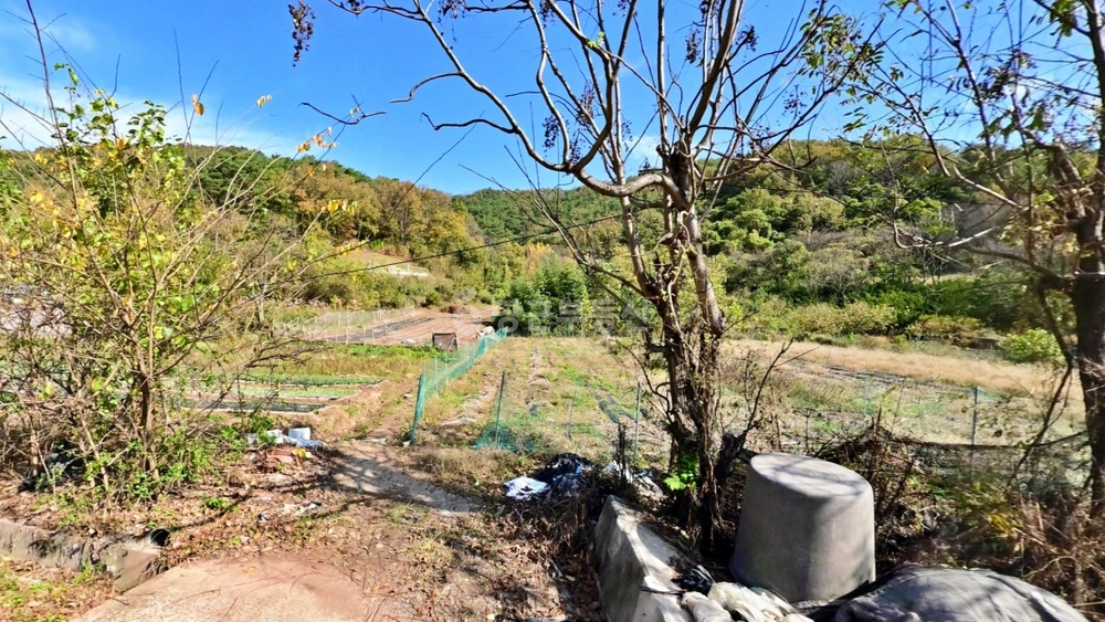 경상남도 의령군 정곡면 토지 사진 1