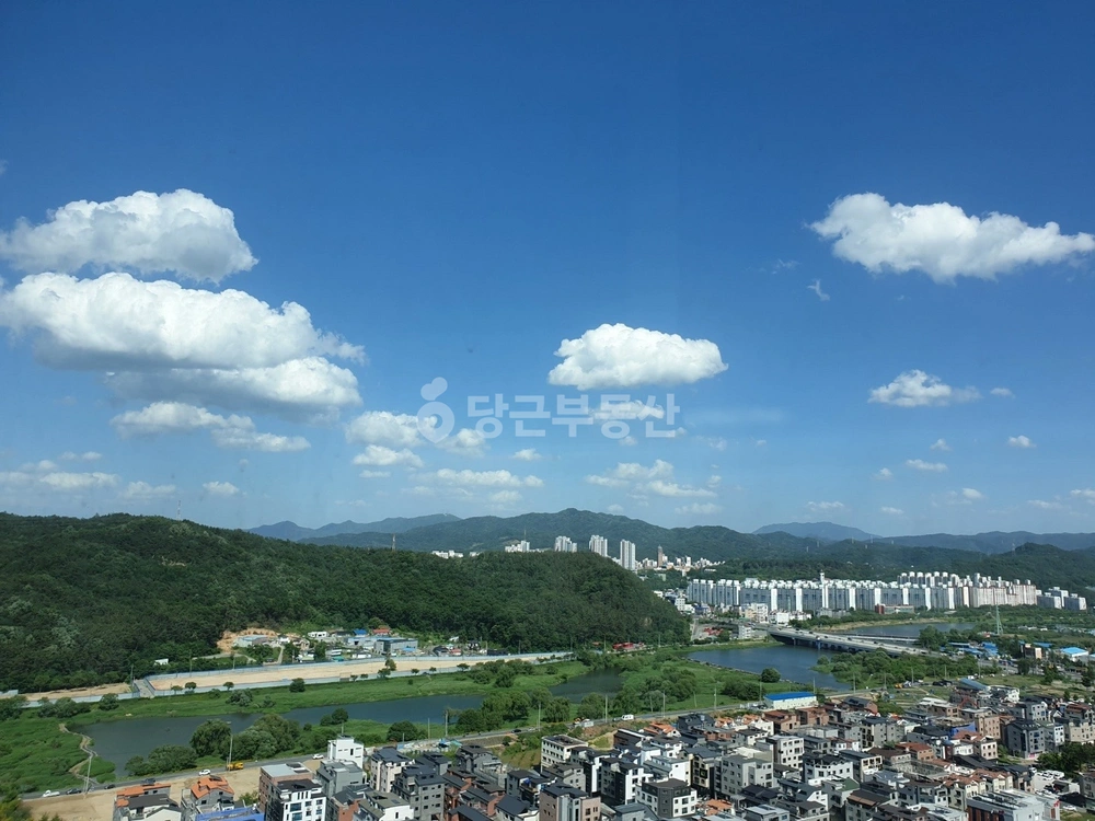 대전광역시 서구 도안동 아파트 사진 1