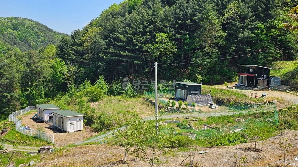 충청남도 천안시 동남구 광덕면 토지 사진 1