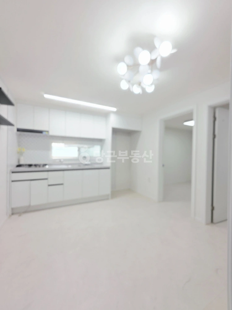 인천광역시 부평구 부평동 빌라(투룸 이상) 사진 1
