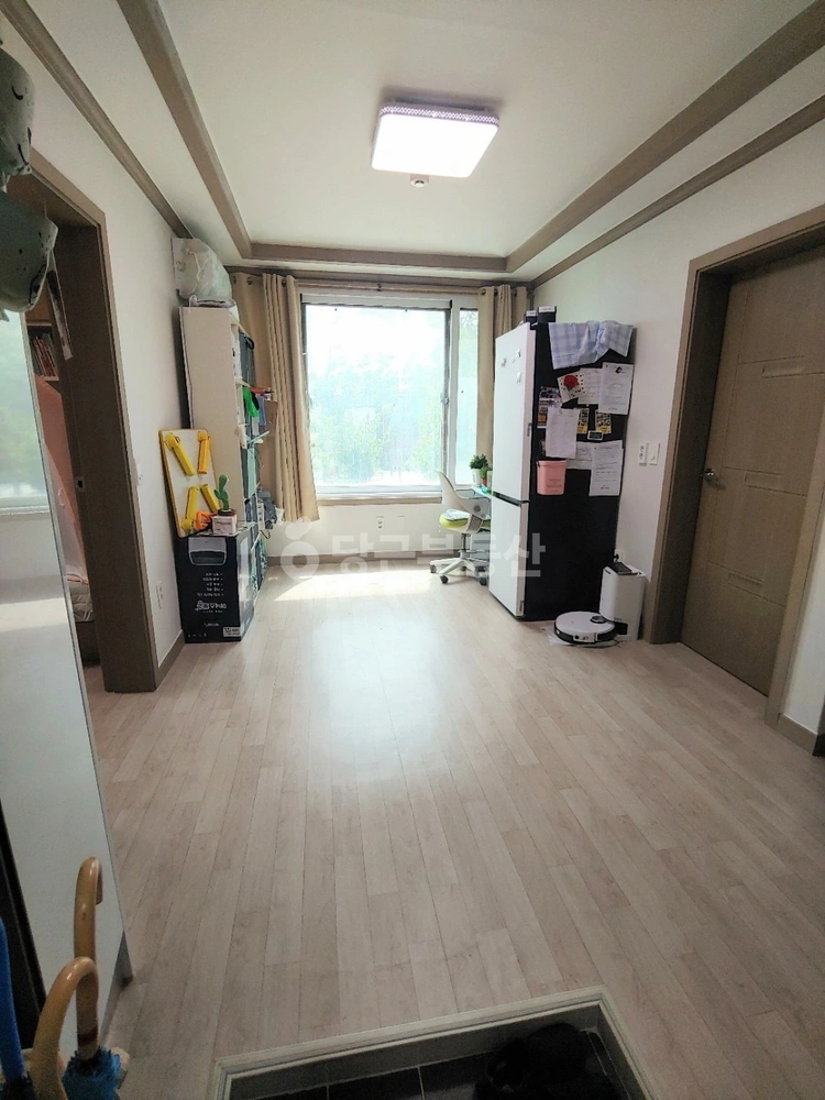 강원특별자치도 강릉시 포남동 빌라(투룸 이상) 사진 1