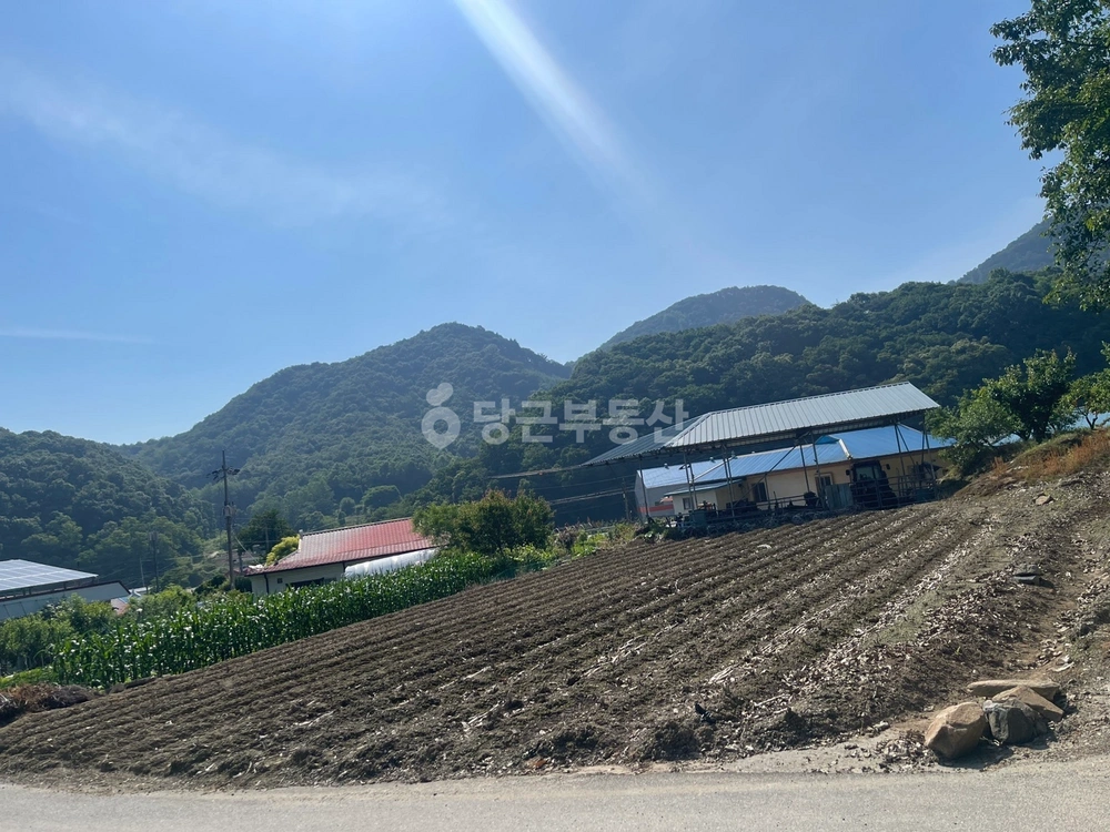 충청북도 충주시 대소원면 토지 사진 1
