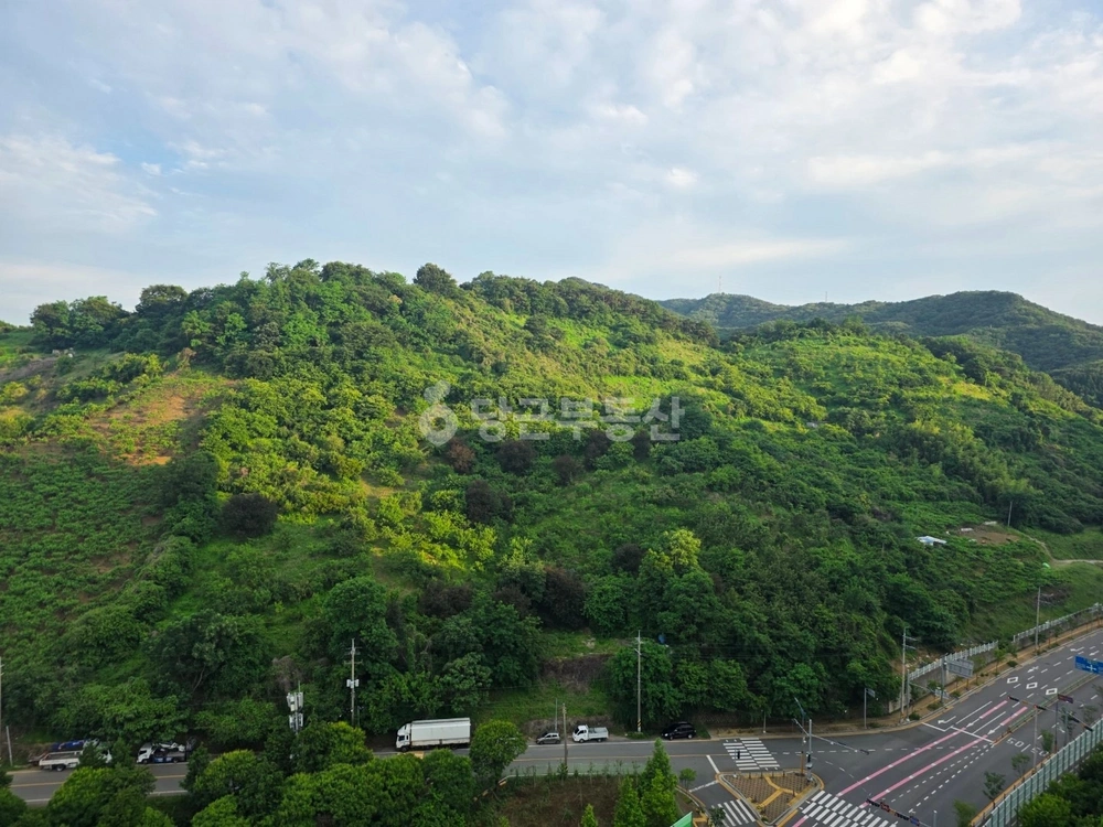경상남도 창원시 마산합포구 월영동 아파트 사진 1