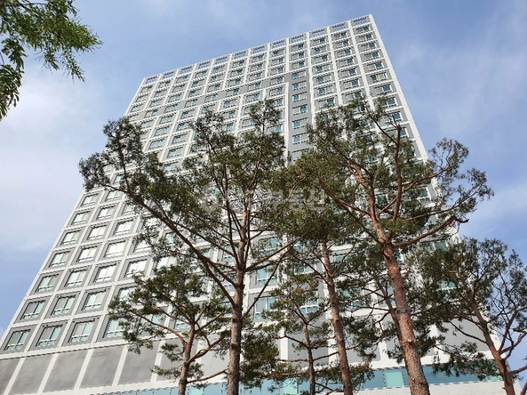 경기도 남양주시 별내동 건물 사진 1