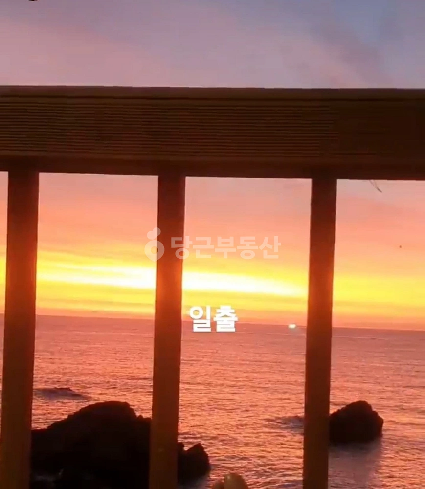 경상북도 영덕군 남정면 토지 사진 1