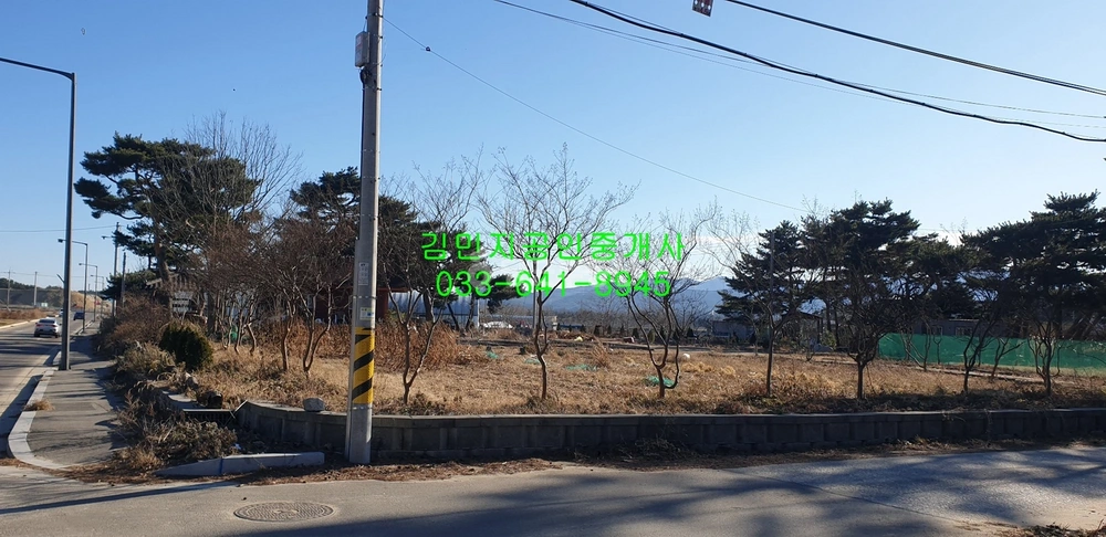강원특별자치도 강릉시 병산동 토지 사진 1
