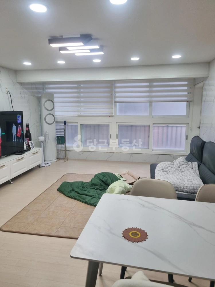 제주특별자치도 제주시 봉개동 빌라(투룸 이상) 사진 1
