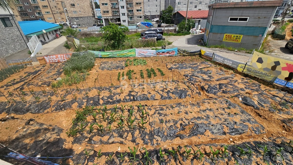 경기도 고양시 일산서구 덕이동 토지 사진 1