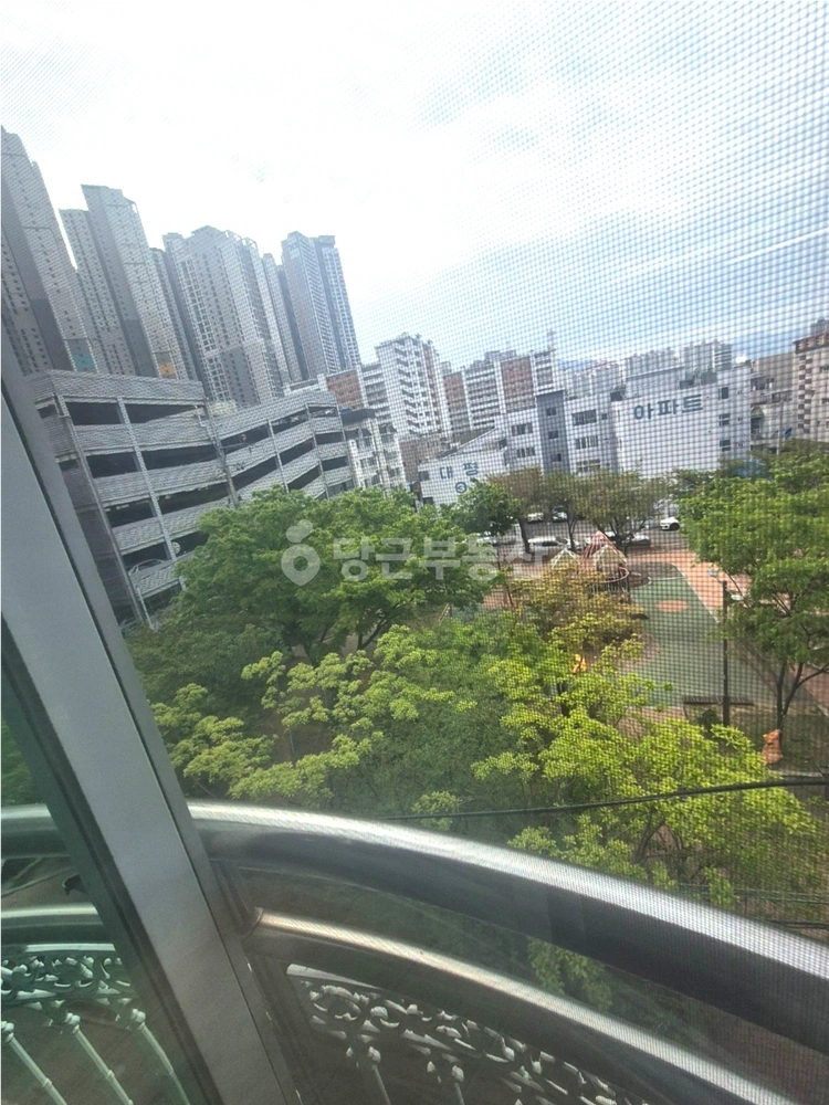 대구광역시 서구 내당동 빌라(투룸 이상) 사진 1
