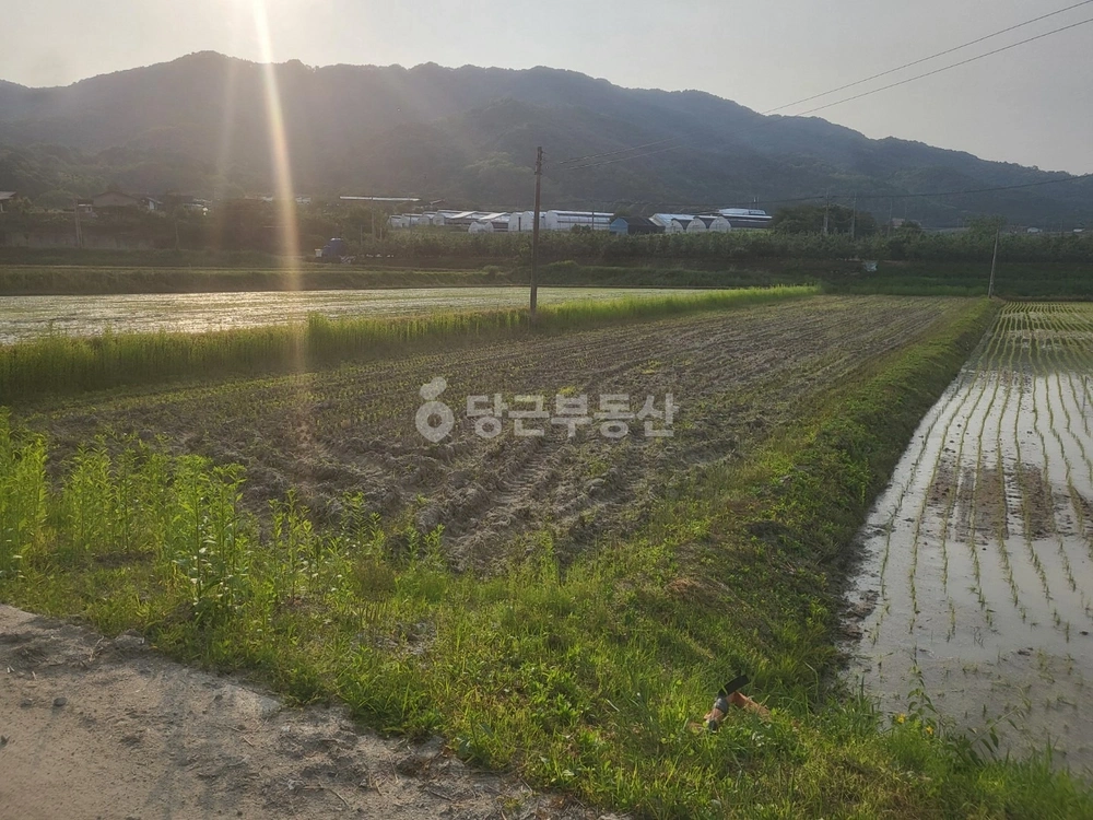 경상북도 영주시 안정면 토지 사진 1