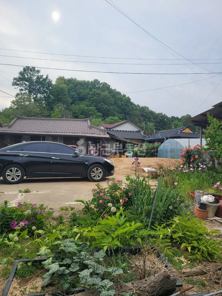경상북도 김천시 감문면 단독/전원주택 사진 1