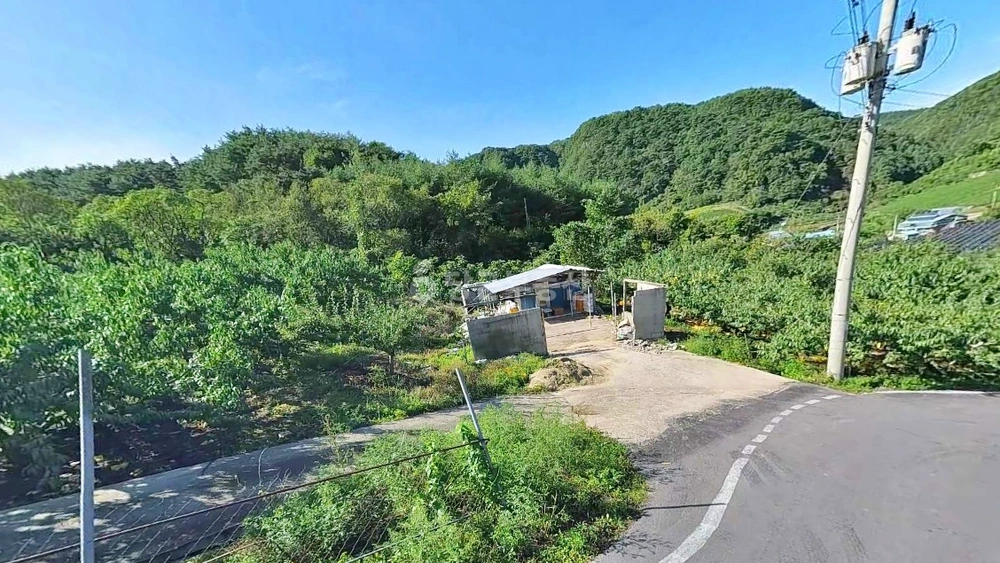 경상북도 영양군 영양읍 토지 사진 1