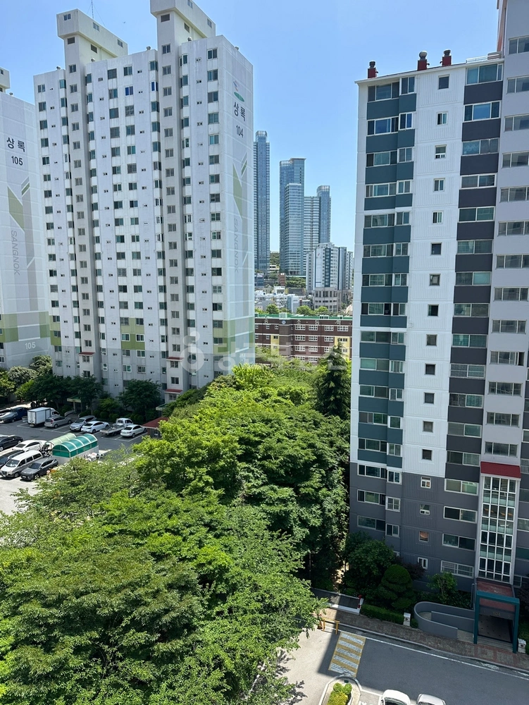 부산광역시 해운대구 좌동 아파트 사진 1