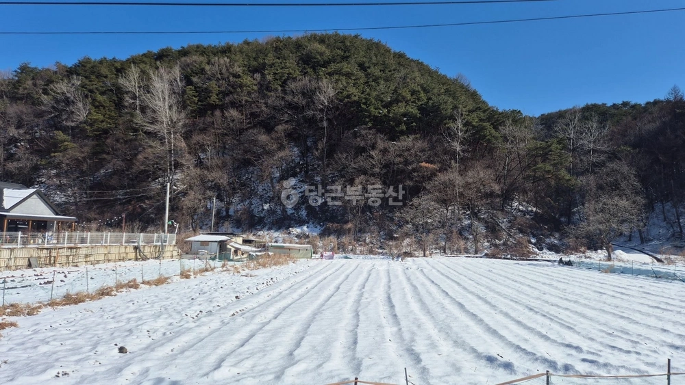 충청남도 논산시 벌곡면 토지 사진 1