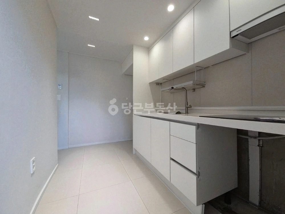 서울특별시 강남구 역삼동 빌라(투룸 이상) 사진 1