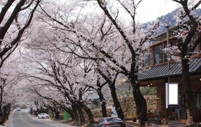 경상남도 하동군 화개면 건물 사진 1