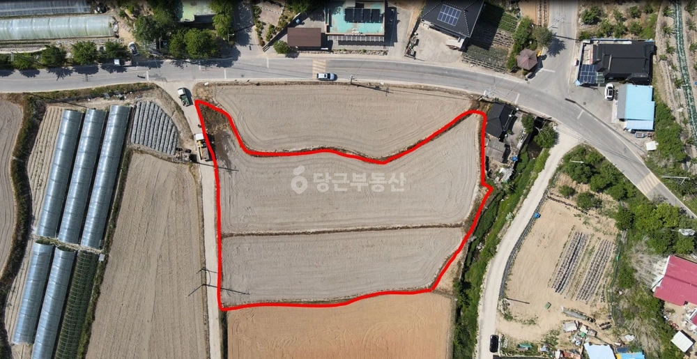 경상북도 칠곡군 기산면 토지 사진 1