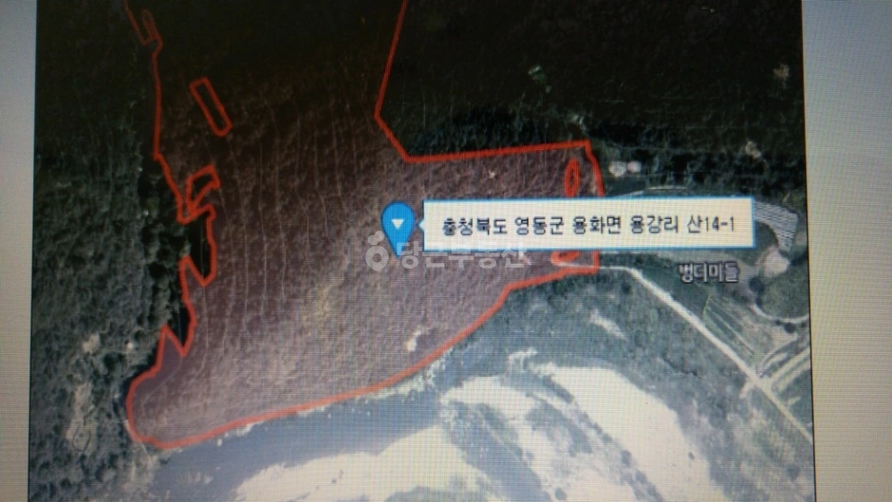 충청북도 영동군 용화면 토지 사진 1