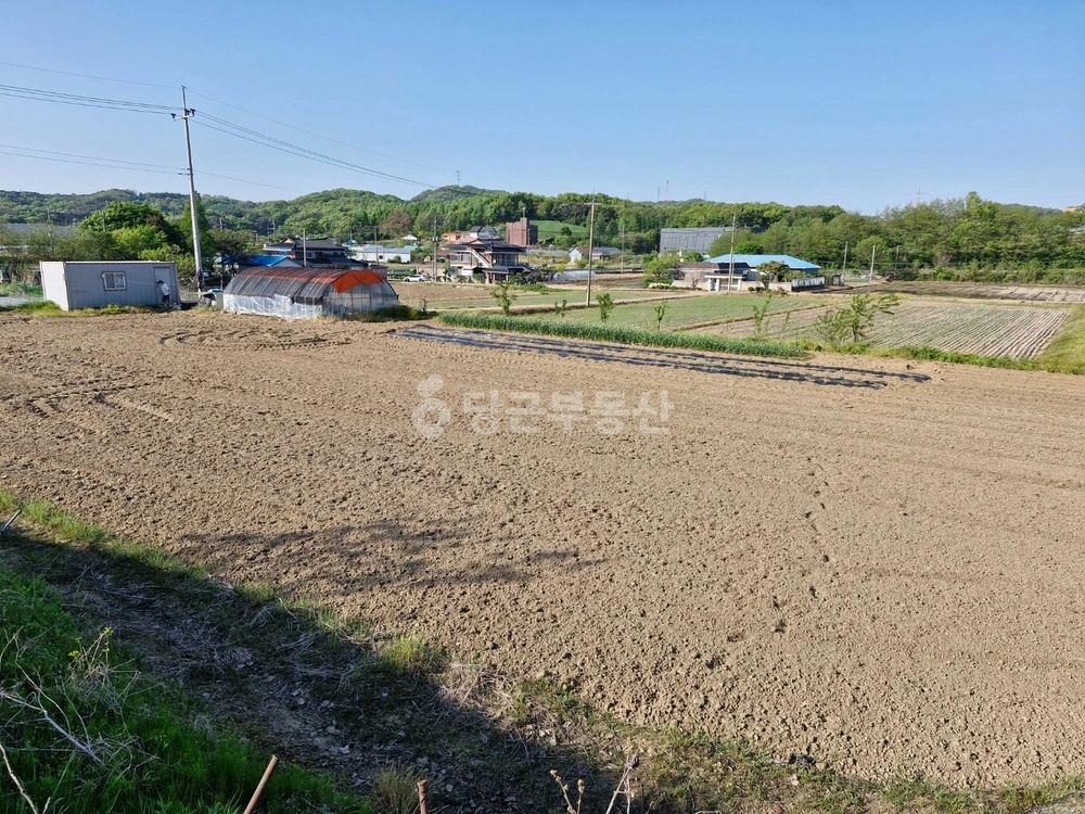 충청남도 아산시 도고면 토지 사진 1