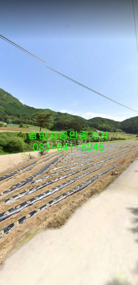 강원특별자치도 평창군 진부면 토지 사진 1