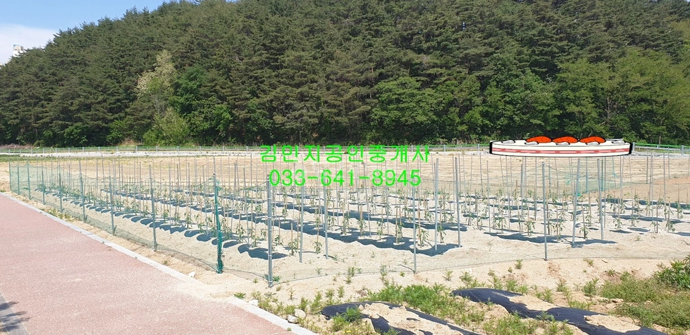 강원특별자치도 강릉시 회산동 토지 사진 1