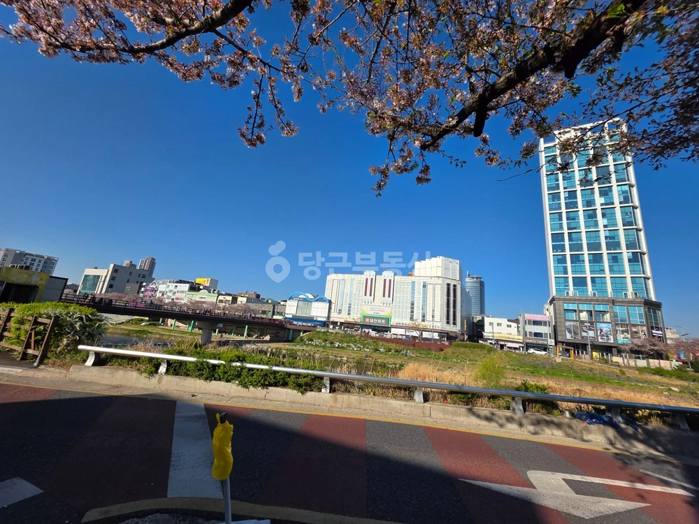 대전광역시 중구 은행동 상가 사진 1