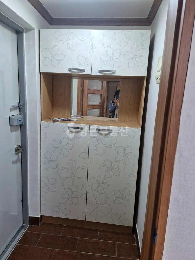 대구광역시 달서구 두류동 빌라(투룸 이상) 사진 1