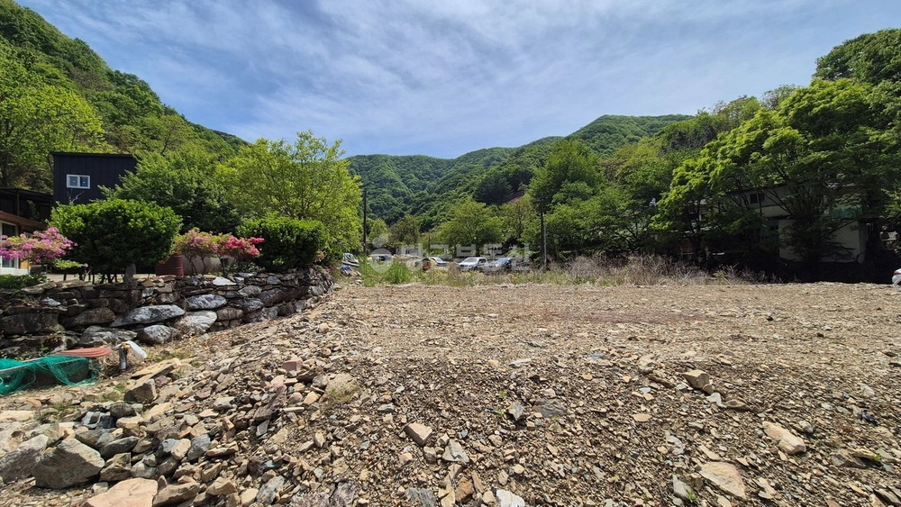 충청남도 금산군 진산면 토지 사진 1