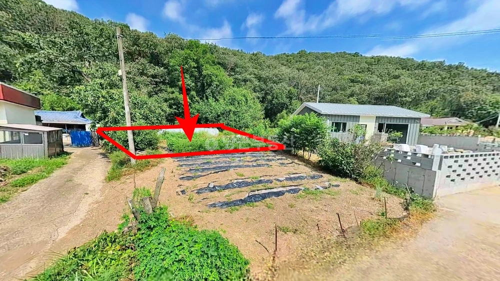경상북도 영천시 북안면 토지 사진 1