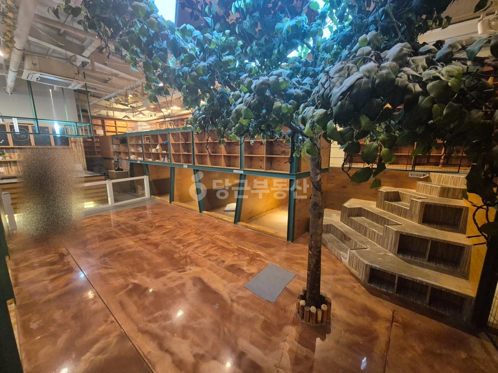 대전광역시 서구 둔산동 상가 사진 1
