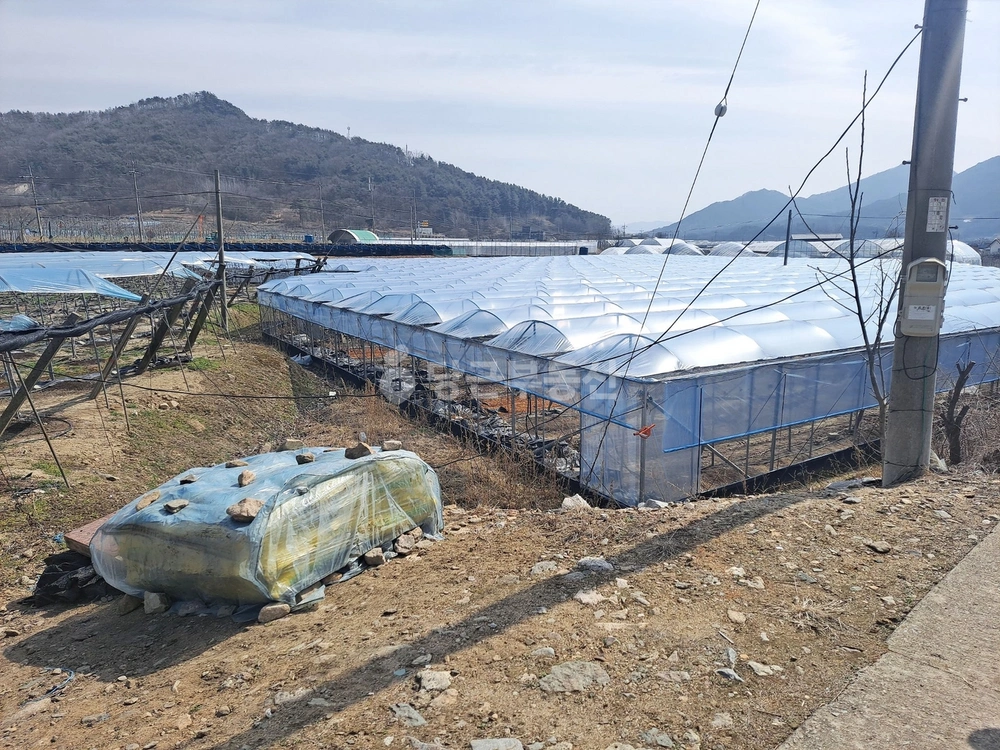 충청북도 영동군 추풍령면 토지 사진 1