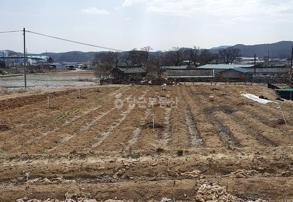 경상북도 영천시 화산면 토지 사진 1