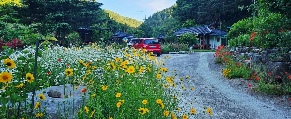경상북도 울진군 울진읍 단독/전원주택 사진 1