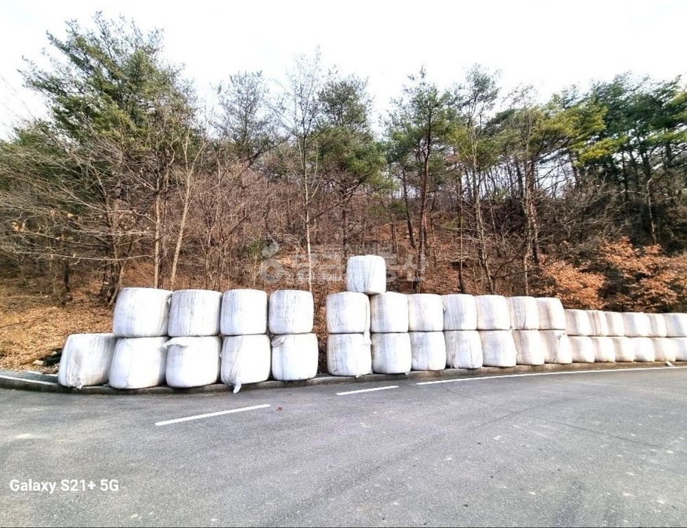 강원특별자치도 삼척시 미로면 토지 사진 1
