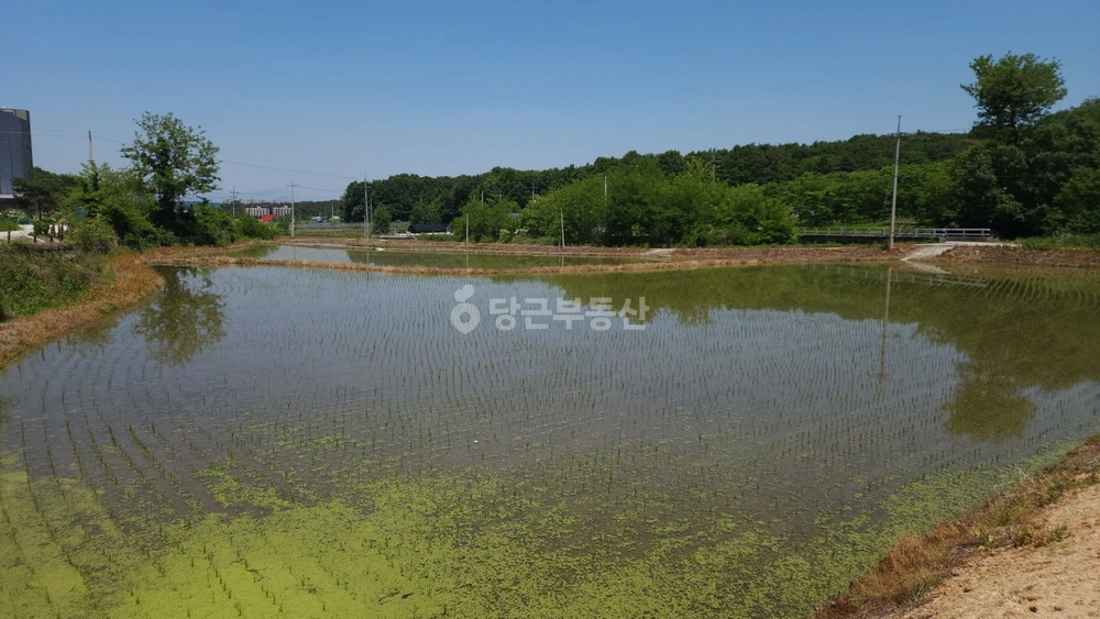 경기도 여주시 가업동 토지 사진 1