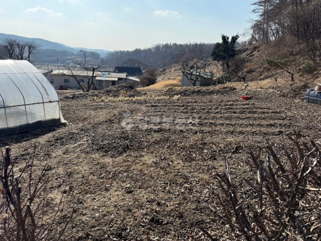 경기도 여주시 대신면 토지 사진 1
