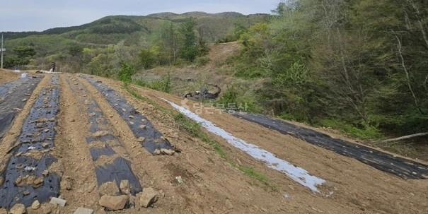 충청북도 옥천군 청성면 토지 사진 1