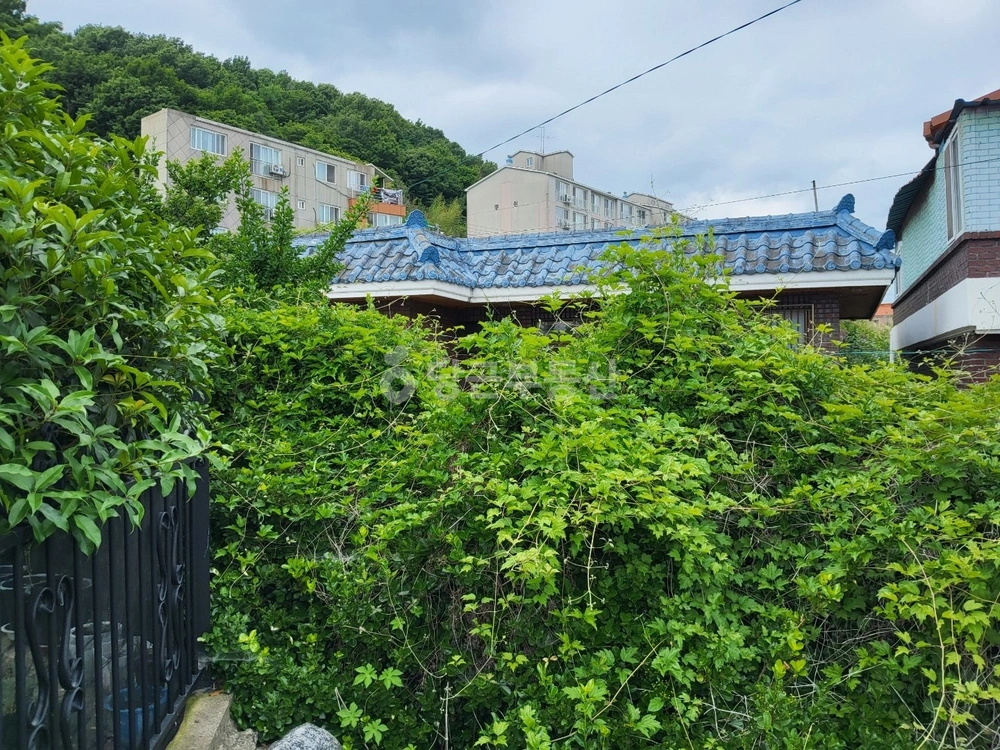 경상남도 하동군 진교면 단독/전원주택 사진 1