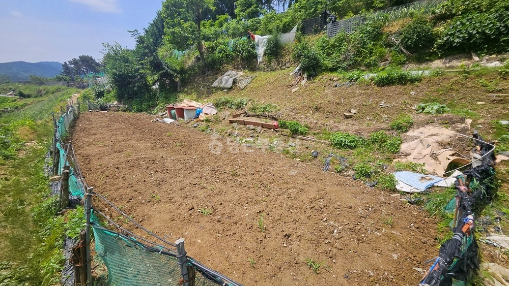 경상남도 창원시 마산회원구 구암동 토지 사진 1