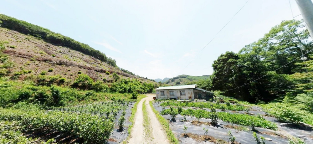 충청남도 보령시 미산면 토지 사진 1