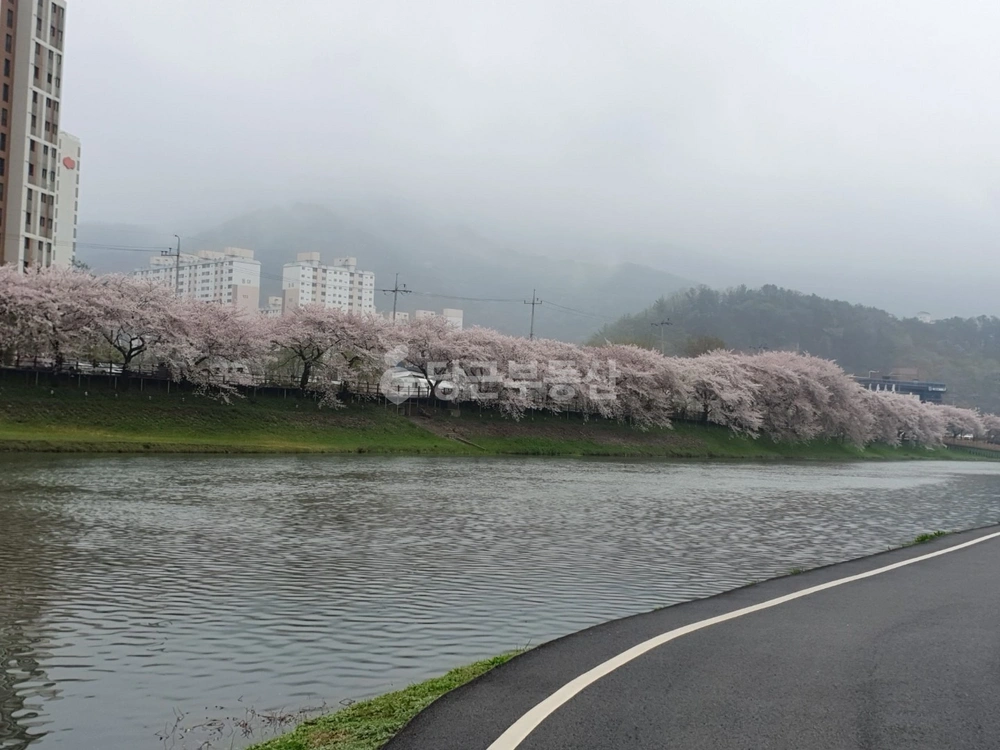 전남광주통합특별시 순천시 조곡동 아파트 사진 1