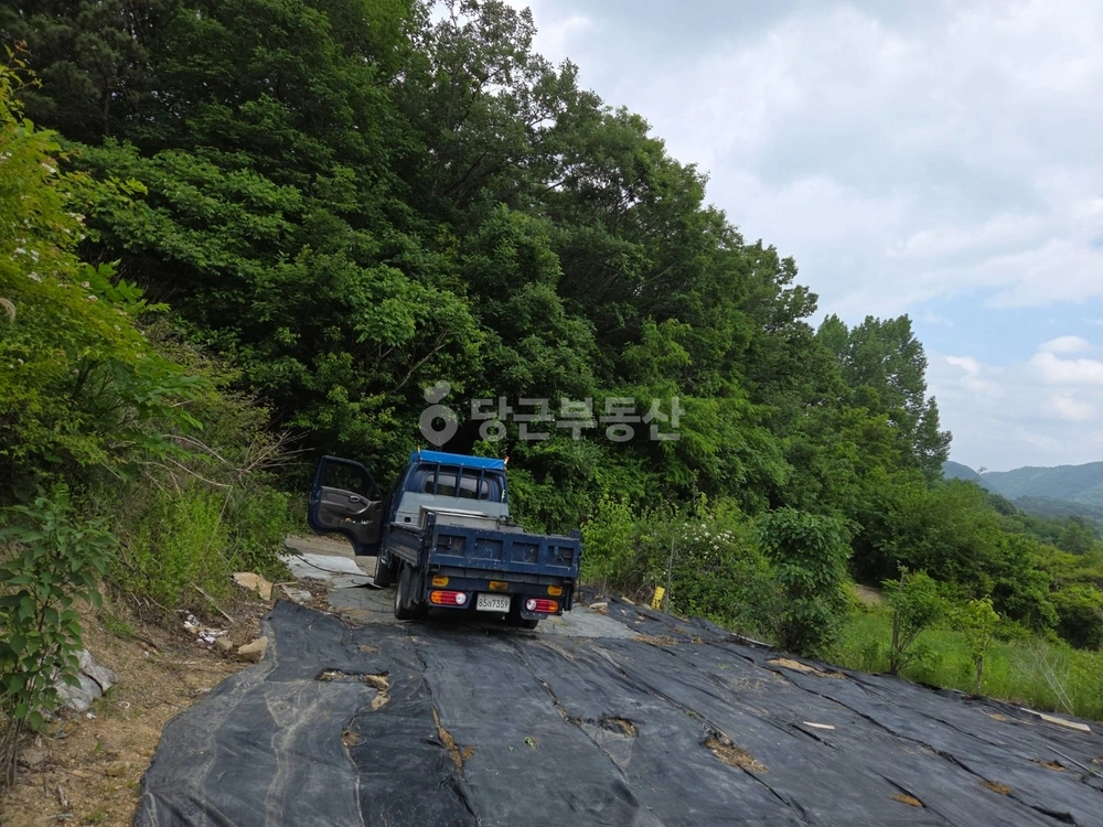 전북특별자치도 임실군 관촌면 토지 사진 1
