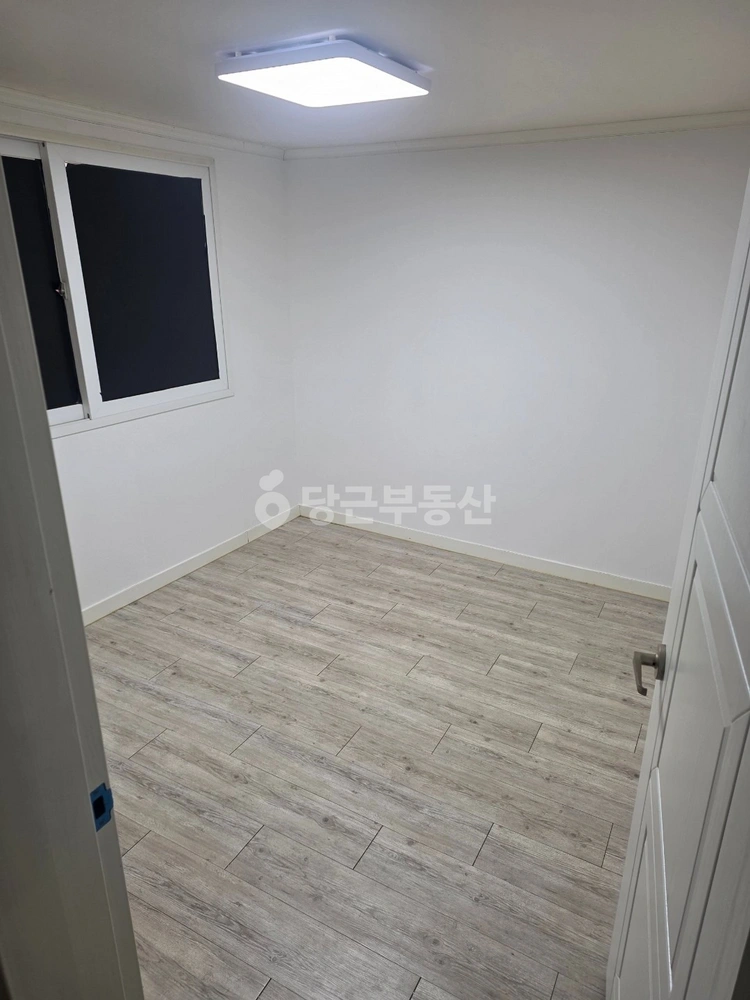 경상북도 포항시 북구 대신동 원룸 사진 1